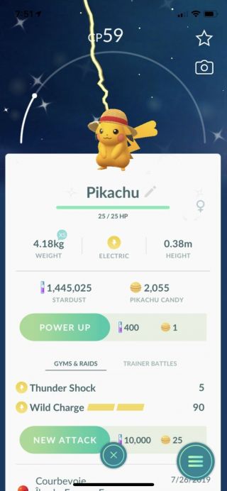 Pokemon Go Shiny Pikachu Straw Hat Rare