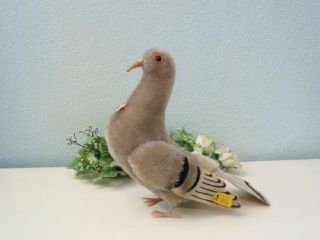 (24597) Rare Steiff Pigeon,  25 Cm With All Id 