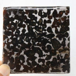 130g Rare Slices Of Kenyan Pallasite Meteorite Olive R2280