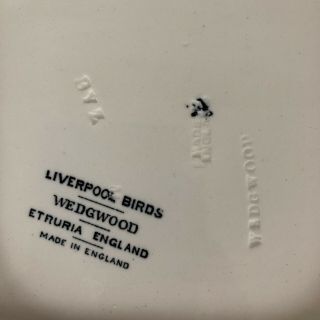 Rare Wedgwood Black White Transferware Liverpool Birds Square Handled Cake Plate 6
