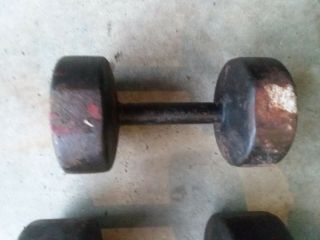 1 Vintage Rare Antique 25 lb Pound York Barbell Roundhead Dumbell Pre U.  S.  A. 2