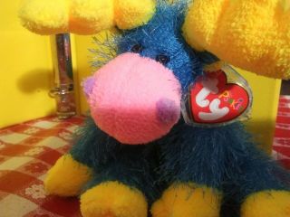 Ty 6 " Punkies Marbles Blue/yellow/pink Moose Rare Htf Mwmt 2003