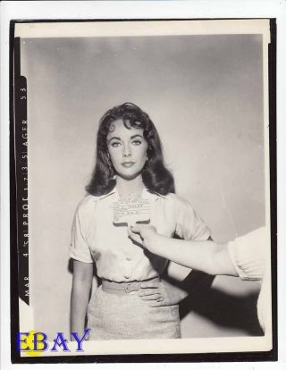 Elizabeth Taylor Costume Test Rare Photo Suddenly Last Summer