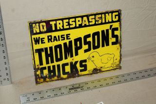 Rare 1950s We Raise Thompson 