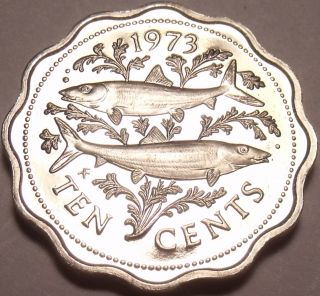 Bahamas 10 Cents,  1973 Rare Proof Bone Fish 35,  000 Minted Scalloped