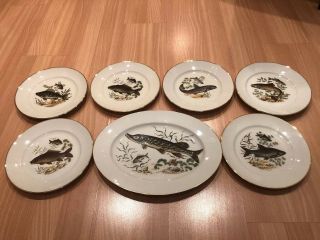 Rare Jwk Set Of 6 Fish Plates & 1 Platter Western Germany Fine Porcelain