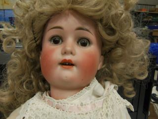 Rare Antique Gustav Wohlleben Bisque/Composition Doll Approx.  24 