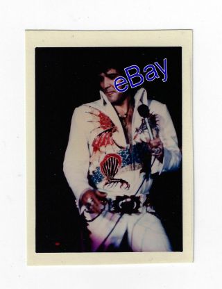 Elvis Presley Concert Photo - Chinese Dragon 1974 - Jim Curtin Rare