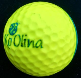 Ping Eye 2 TEAL YELLOW Golf Ball Great RARE Ko Olina Hawaii Lady Bug Logo 2