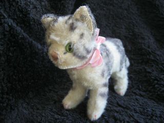 Rare 1949/77 German Steiff Cat W.  Button Tabby