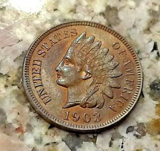 Rare 1903 U.  S Indian Head Penny Brown Br Tones Clear Sharp Detail N/r