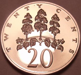 Large Rare Proof Jamaica 1975 20 Cents Only 16,  000 Minted Mahoe Tree