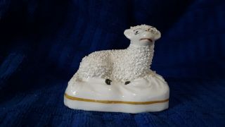Antique Rare Staffordshire Recumbent Confetti Sheep Lamb Figurine Statue