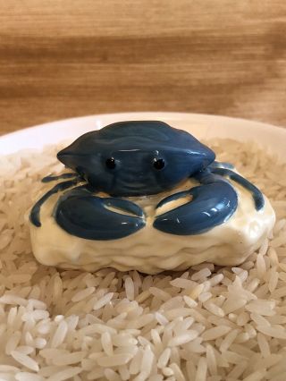 Nora Fleming Retired Large Crab On Rock Mini - Rare 2.  5” Wide