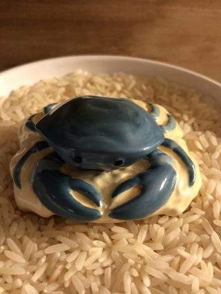 Nora Fleming Retired LARGE CRAB ON ROCK Mini - RARE 2.  5” Wide 8