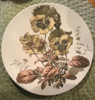 Antique Brown Westhead Moore & Co - Pansy Plate Rd 70235 - Rare Colors Botanical