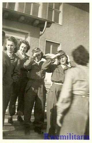 Rare: Group Female Uniformed Luftwaffe Blitzmädel Helferin Girls Chatting