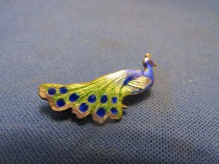 Vintage Sterling Silver Rare Enamel Peacock Bird Unusual Pin