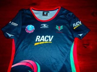 MELBOURNE VIXENS 2013 NETBALL FITTED SCODY JERSEY WOMENS 10 VIS RARE 2