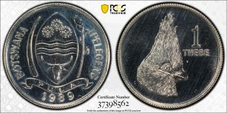 1989 Botswana Thebe Pcgs Sp66 - Extremely Rare Kings Norton Proof