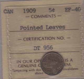 1909 Pl Canada Silver Five Cents Coin.  Rare Variety Iccs Ef - 40