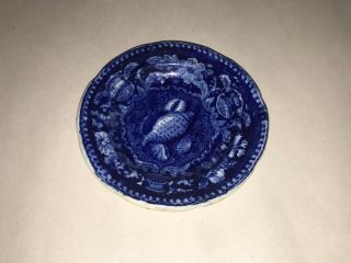 Historical Staffordshire Blue Cup Plate Sea Shells By Stubbs Rare Size 1825