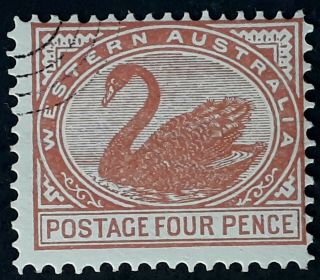 Rare 1903 - Western Australia 4d Chestnut Swan Stamp Specimem Oval Cancel