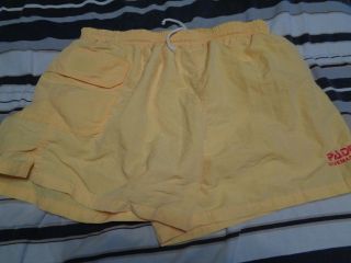 Vintage Rare Padi Divemaster Short Swim Shorts Size Mens Large
