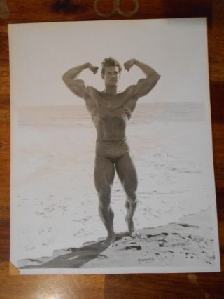 Rare Bodybuilder Steve Reeves Muscle Bodybuilding Photo