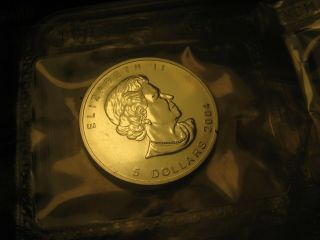 $5 2004 Silver Maple Leaf Bullion Rcm Coin 1 Oz 9999 Silver Rare.