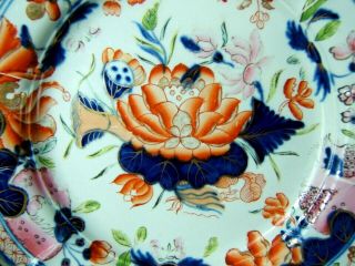 Two Rare Early 19th Century Mason ' s Patent Ironstone Water Lily Plates 2