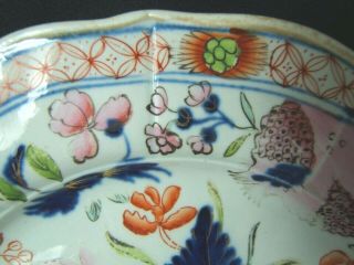 Two Rare Early 19th Century Mason ' s Patent Ironstone Water Lily Plates 5