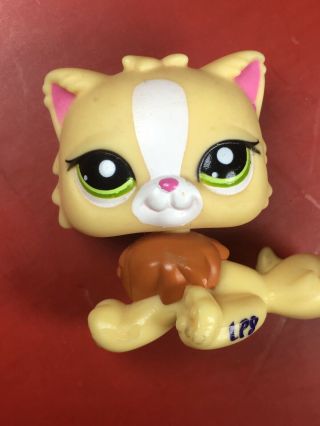 Rare✨ Littlest Pet Shop Persian Cat No Mystery Pet Yellow Unreleased