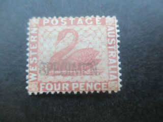 Western Australia Stamps: 1899 Specimen Swan - Rare (e113)
