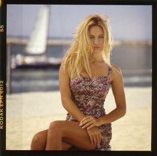 Vintage 2.  25 " X 2.  25 " Pamela Anderson Baywatch Playboy Model Rare Transparency