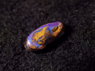 4.  83ct Oval Cab Natural Koroit Nut Crystal Core Rare Boulder Opal.  Best Of Show