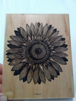 Stampin Up Sunflower Background Flower Rubber Stamp Rare