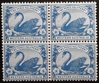 Rare 1901 - Western Australia Blk 4x2 1/2d Blue Swam Stamps Perf 14 Wmk Wcrna Muh