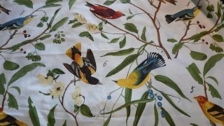 Rare Vintage Pottery Barn Botanical Birds Sparrows Cotton Shower Curtain Evc