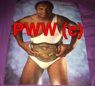 Carlos Colon,  Wrestling Poster,  Posed,  Rare,  2 Sided,  Larry Zbyszko,  Baby Doll,  Wwc,  Nwa