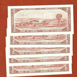 Rare 5 1954 Consecutive Serial Number Two Dollar Bank Notes Uncirculated E497 2