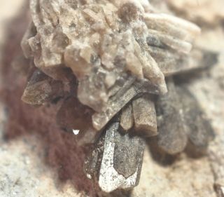 Very Rare Howlite Crystals In Gypsum,  Cape Breton Island,  Nova Scotia,  Canada