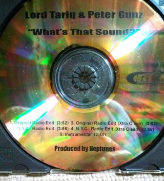 Lord Tariq & Peter Gunz / What 