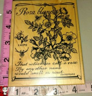 Psx,  Botanical Rosa Blands,  K 3134,  Very Rare,  Big,  C5,  Rubber Stamp,  Wood