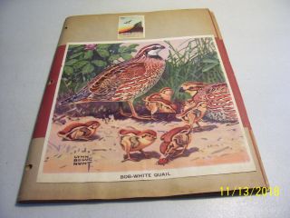 Rare 1938 - 39 National Wildlife Federation Poster Stamp Album W/ 1938 Key Stamp