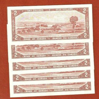 Rare 5 1954 Consecutive Serial Number Two Dollar Bank Notes GemUncirculated E489 2