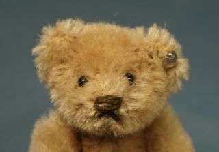 Vintage RARE Steiff TEDDY BEAR Jointed Brown Caramel 5310 Button 2