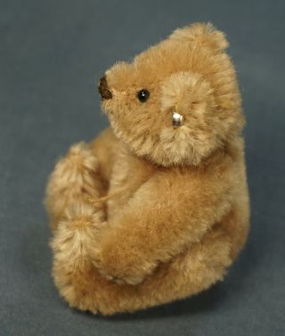 Vintage RARE Steiff TEDDY BEAR Jointed Brown Caramel 5310 Button 7