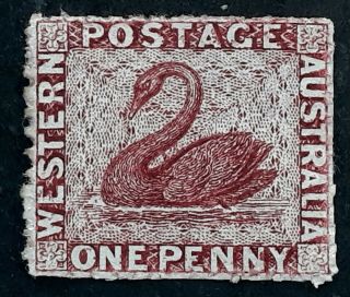 Rare 1861 Western Australia 1d Rose Perf 14 Swan Stamp No Gum