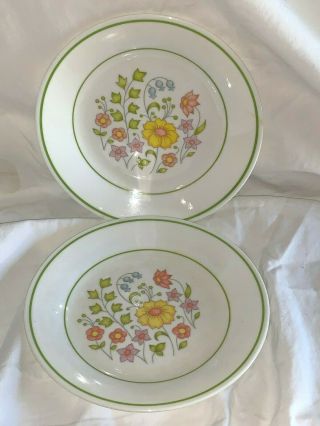 Corelle Snack/dessert Plates 6 3/4 " Meadow Set Of 2 Rare Hard To Find